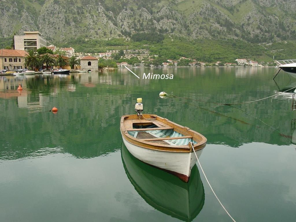 Apartment Mimosa Kotor Habitación foto