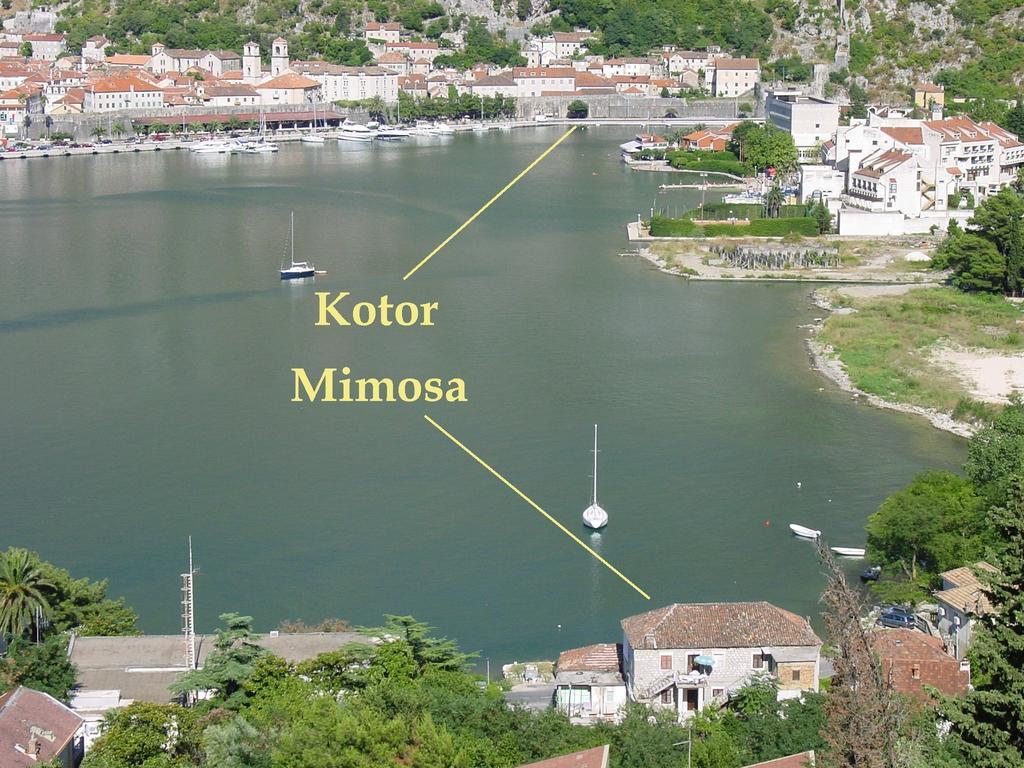 Apartment Mimosa Kotor Habitación foto