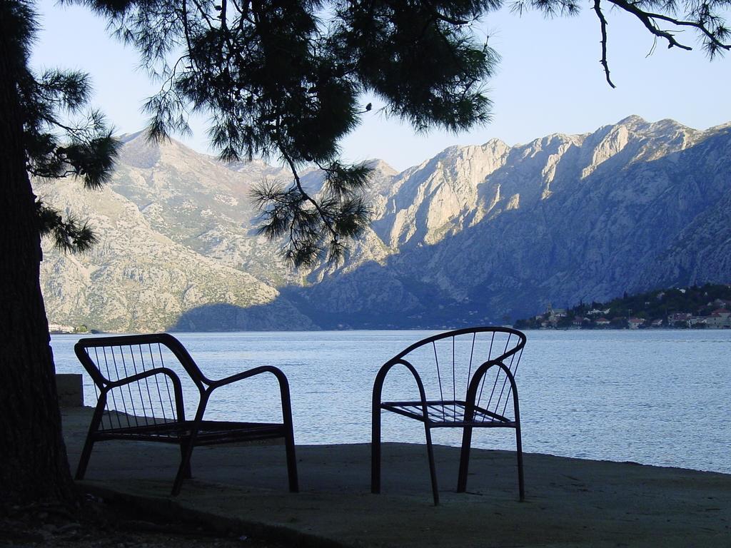 Apartment Mimosa Kotor Habitación foto